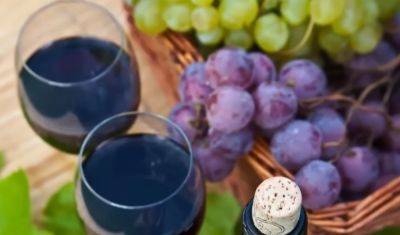 Это просто божественно: домашнее вино из дачного винограда по грузинскому рецепту - hyser.com.ua - Украина