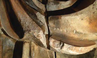 Археологи исследовали статуи Парфенона – раскрыта удивительная тайна – фото - apostrophe.ua - Украина - Англия - Лондон - Греция