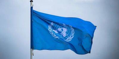 Новые выплаты от ООН: кто и как может получить помощь — на сколько увеличили выплаты - nv.ua - Украина