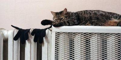 Как согреться, если дома нет отопления: эффективные советы, которые помогут комфортно пережить холода - politeka.net - Украина