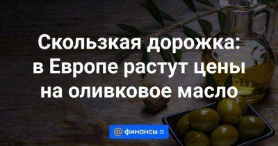 Скользкая дорожка: в Европе растут цены на оливковое масло - smartmoney.one