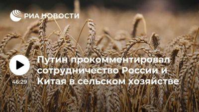 Владимир Путин - Путин: сотрудничество России и Китая в сельском хозяйстве расширяется - smartmoney.one - Россия - Китай