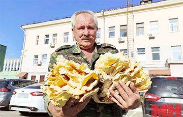 Минчанин нашел гигантский необычный гриб - charter97.org - Белоруссия - Минск