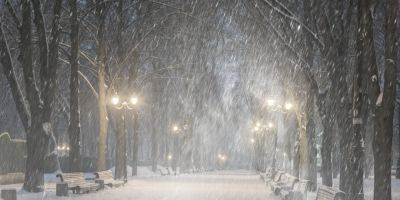 Наталья Голеня - Настоящая зима. Вскоре выпадет снег — прогноз снегопадов по Европе на весь зимний период - nv.ua - Украина - Европа