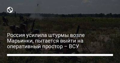 Александр Штупун - Россия усилила штурмы возле Марьинки, пытается выйти на оперативный простор – ВСУ - liga.net - Россия - Украина - Донецкая обл.