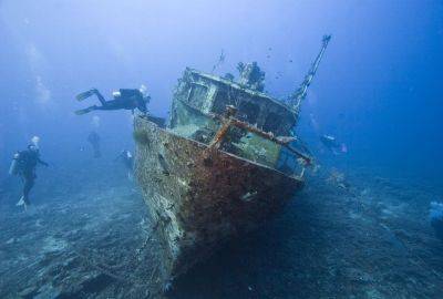 Сохранился спустя столетия: археологи обнаружили затонувший корабль XIX века - что в нем было - ukrainianwall.com - США - Украина - шт.Флорида
