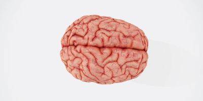 Вселенная в голове. Ученые создали огромную карту человеческого мозга, которая объясняет происхождение ряда психических расстройств - nv.ua - Украина - Сан-Диего - шт. Калифорния