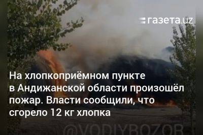 На хлопкоприёмном пункте в Андижанской области произошёл пожар. Власти сообщили, что сгорело 12 кг хлопка - gazeta.uz - Узбекистан