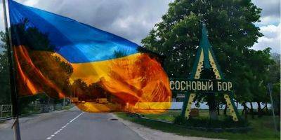 Александр Лукашенко - В Беларуси мужчина вывесил флаг Украины - nv.ua - Украина - Белоруссия - Гомельская обл.
