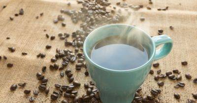 Как сделать кофе слаще без использования сахара: семь вкусных и полезных альтернатив - dsnews.ua - Украина