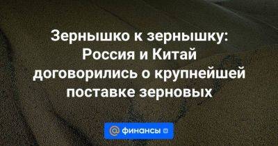 Зернышко к зернышку: Россия и Китай договорились о крупнейшей поставке зерновых - smartmoney.one - Россия - Китай