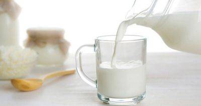 Производство молока в 2,6 раза превышает внутреннее потребление - produkt.by - Россия - Белоруссия