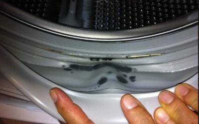 Как избавиться от плесени в стиральной машине – советы хозяйкам - apostrophe.ua - Украина
