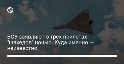 ВСУ заявляют о трех прилетах "шахедов" ночью. Куда именно — неизвестно - liga.net - Украина - Краснодарский край - Ахтарск