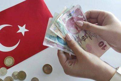 Эксперт Эрчин назвал ожидаемым рост доллара до 30 лир к концу года в Турции - smartmoney.one - Россия - Китай - Турция - Анкара