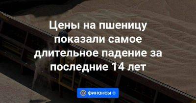 Цены на пшеницу показали самое длительное падение за последние 14 лет - smartmoney.one - Россия - США - Reuters