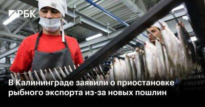 Антон Алиханов - В Калининграде заявили о приостановке рыбного экспорта из-за новых пошлин - smartmoney.one - Молдавия - Белоруссия - Калининград - Калининградская обл.