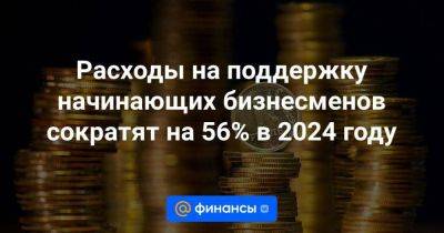 Расходы на поддержку начинающих бизнесменов сократят на 56% в 2024 году - smartmoney.one - Россия