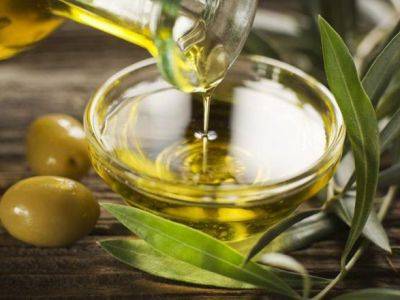 В Европе подорожало оливковое масло: это повлияло на стоимость традиционной еды в Италии и Испании - unn.com.ua - Украина - Киев - Италия - Испания