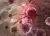 Делают клетки агрессивными: ученые сделали неожиданное открытие о человеческом организме - udf.by - штат Висконсин
