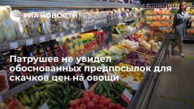 Дмитрий Патрушев - Патрушев: обоснованных предпосылок для скачков цен на овощи в России нет - smartmoney.one - Россия