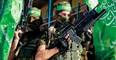 Сервер портала террористов ХАМАС расположен на территории РФ, — расследователи - focus.ua - Москва - Россия - Украина - Израиль - Эмираты