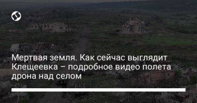 Мертвая земля. Как сейчас выглядит Клещеевка – подробное видео полета дрона над селом - liga.net - Россия - Украина