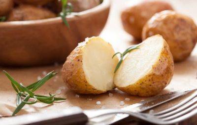 Не все хозяйки это знают: сколько на самом деле нужно варить картошку в мундире - hyser.com.ua - Украина