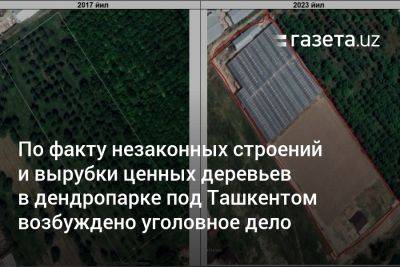 По факту незаконных строений и вырубки ценных деревьев в дендропарке под Ташкентом возбуждено уголовное дело - gazeta.uz - Узбекистан - Ташкент - Экология