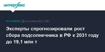 Эксперты спрогнозировали рост сбора подсолнечника в РФ к 2031 году до 19,1 млн т - smartmoney.one - Москва - Россия