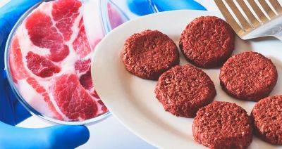 В Канаде потратят $10 млн на производство искусственного мяса - produkt.by - Белоруссия - Канада - Оттава