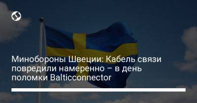 Минобороны Швеции: Кабель связи повредили намеренно – в день поломки Balticconnector - liga.net - Украина - Эстония - Швеция - Финляндия