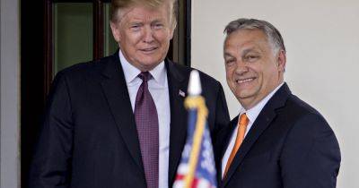Дональд Трамп - Реджеп Тайип Эрдоган - Виктор Орбан - Большая честь для него: Трамп назвал Орбана "самым влиятельным лидером" Турции - focus.ua - Россия - США - Украина - Турция - Венгрия