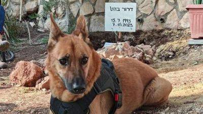 Пес Дрор две недели живет на могиле хозяина, убитого террористами ХАМАСа - vesty.co.il - Израиль