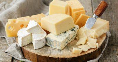 Твердый сыр: чем полезен, сколько можно есть и как влияет на вес, — диетолог - focus.ua - Украина