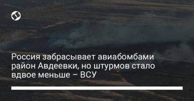 Александр Штупун - Россия забрасывает авиабомбами район Авдеевки, но штурмов стало вдвое меньше – ВСУ - liga.net - Россия - Украина - Донецкая обл.