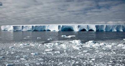 Застыл во времени. Подо льдами Антарктиды 34 млн лет скрывается нечто удивительное - focus.ua - Украина - Антарктида