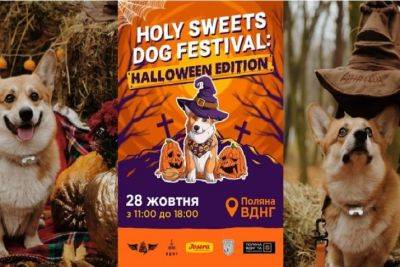 У Києві на ВДНГ пройде фестиваль для усіх порід собак – Holy Sweets Dog Festival: Halloween edition - rupor.info