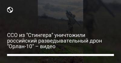 ССО из "Стингера" уничтожили российский разведывательный дрон "Орлан-10" – видео - liga.net - Украина - Англия - Донецкая обл.