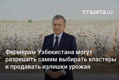 Шерзод Асадов - Фермерам Узбекистана могут разрешить самим выбирать кластеры и продавать излишки урожая - gazeta.uz - Узбекистан - Таджикистан