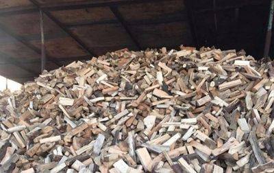 Руслан Стрелец - В Минприроды заверили, что дрова не будут дорожать - korrespondent.net - Россия - Украина