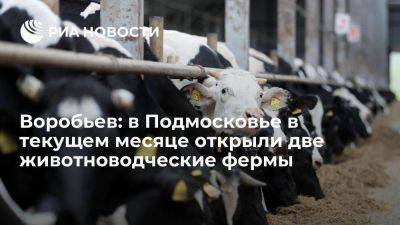 Владимир Путин - Андрей Воробьев - Воробьев: в Подмосковье в текущем месяце открыли две животноводческие фермы - smartmoney.one - Россия - Московская обл.