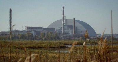 Чиновника "Энергоатома" подозревают в хищении на строительстве ядерного хранилища ЧАЭС, — НАБУ - focus.ua - Украина