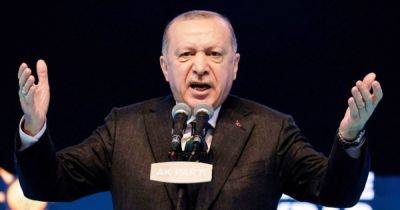 Биньямин Нетаньяху - Реджеп Тайип Эрдоган - "ХАМАС — это освободители": Эрдоган сказал, что Турция готова к военному присутствию в Газе - focus.ua - Россия - Украина - Израиль - Турция