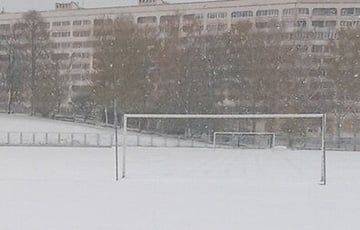 В Новополоцке выпало столько снега, что ФК «Нафтан» просит болельщиков помочь почистить поле - charter97.org - Белоруссия - Мозырь