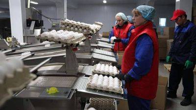 В РАНХиГС назвали последствия в случае введения запрета экспорта яиц и мяса птицы - smartmoney.one - Россия