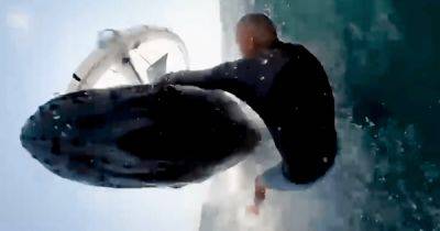 Чудом остался жив: горбатый кит выпрыгнул из воды и сбил серфингиста (видео) - focus.ua - Украина - Австралия