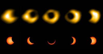 Получены первые в истории радиоизображения кольцеобразного солнечного затмения (фото) - focus.ua - США - Украина - шт.Нью-Джерси