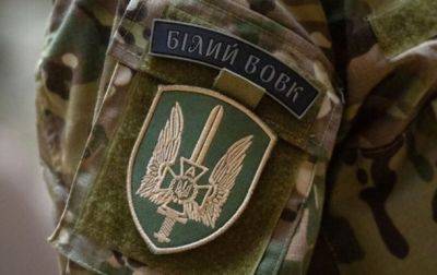 В СБУ показали уничтожение новых целей врага - korrespondent.net - Россия - Украина