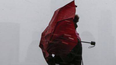 Наталка Диденко - Штормовой ветер будет сносить все – оставайтесь дома: синоптик Диденко предупредила о погоде на субботу, 28 октября - ukrainianwall.com - Украина